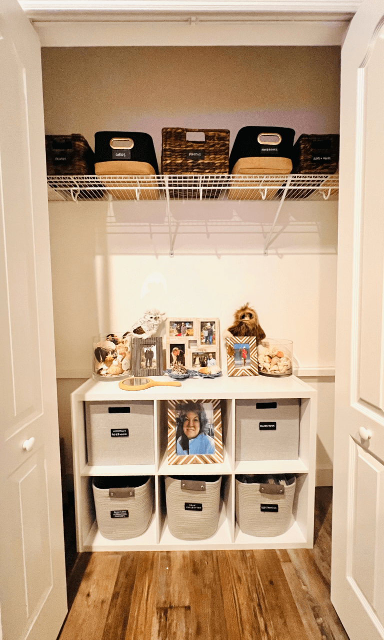 bins in closet